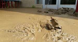 Senators: With latest fiasco, Legislature needs to focus again on flood relief oversight
